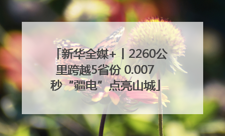新华全媒+丨2260公里跨越5省份 0.007秒“疆电”点亮山城