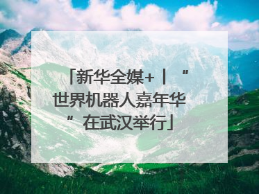 新华全媒+丨“世界机器人嘉年华”在武汉举行