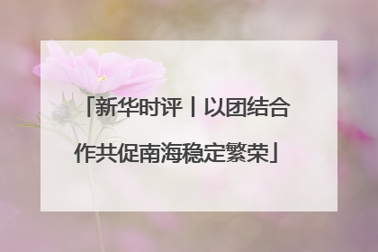 新华时评丨以团结合作共促南海稳定繁荣