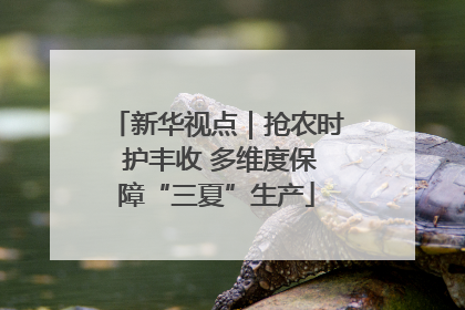 新华视点｜抢农时 护丰收 多维度保障“三夏”生产