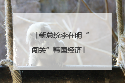 新总统李在明“闯关”韩国经济