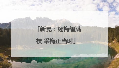 新晃：杨梅缀满枝 采梅正当时