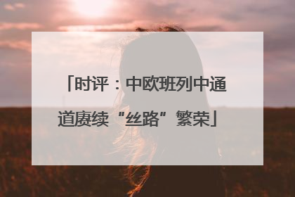时评：中欧班列中通道赓续“丝路”繁荣
