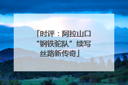 时评：阿拉山口“钢铁驼队”续写丝路新传奇