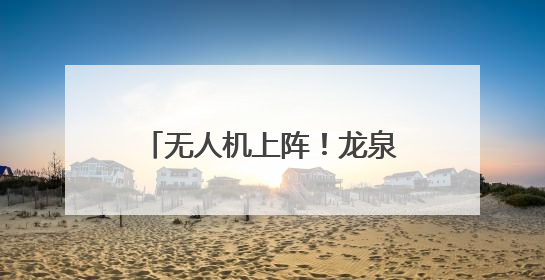 无人机上阵！龙泉“飞防”作业助力松材线虫病防治