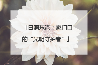 日照东港：家门口的“光明守护者”