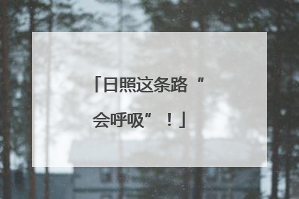 日照这条路“会呼吸”！