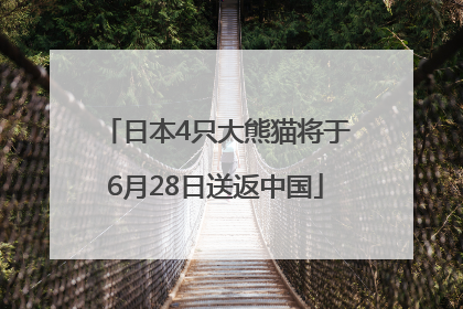 日本4只大熊猫将于6月28日送返中国