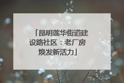昆明莲华街道建设路社区：老厂房焕发新活力
