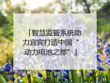 智慧监管系统助力宜宾打造中国“动力电池之都”