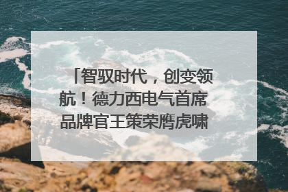 智驭时代，创变领航！德力西电气首席品牌官王策荣膺虎啸奖年度品牌人物