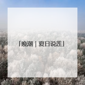 晚潮｜夏日说莲