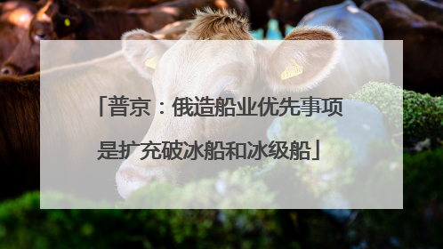 普京：俄造船业优先事项是扩充破冰船和冰级船