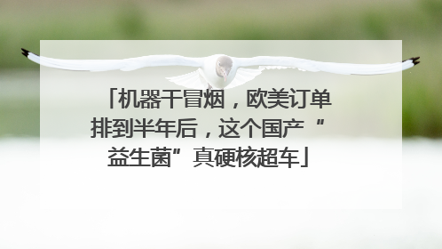 机器干冒烟，欧美订单排到半年后，这个国产“益生菌”真硬核超车