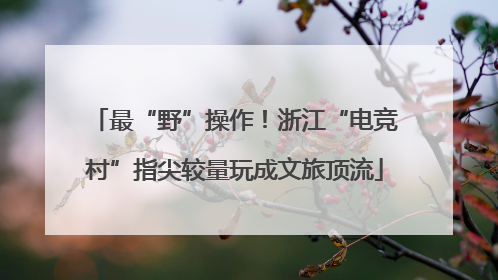 最“野”操作！浙江“电竞村”指尖较量玩成文旅顶流
