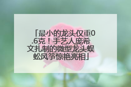最小的龙头仅重0.6克！手艺人庞希文扎制的微型龙头蜈蚣风筝惊艳亮相