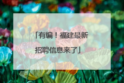 有编！福建最新招聘信息来了