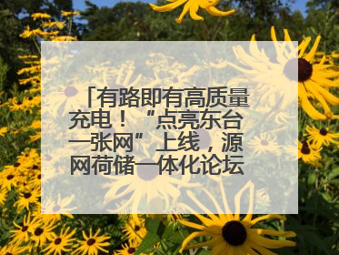 有路即有高质量充电！“点亮东台一张网”上线，源网荷储一体化论坛聚焦低碳转型