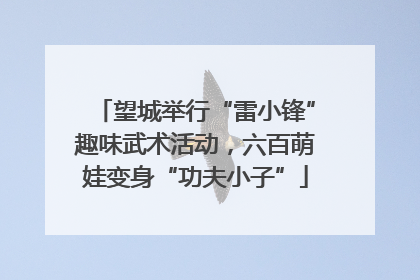 望城举行“雷小锋”趣味武术活动，六百萌娃变身“功夫小子”