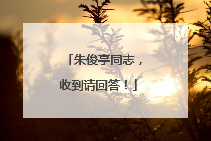朱俊亭同志，收到请回答！