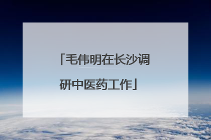 毛伟明在长沙调研中医药工作