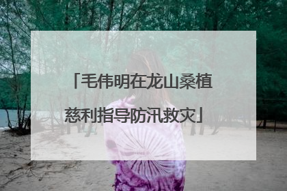 毛伟明在龙山桑植慈利指导防汛救灾