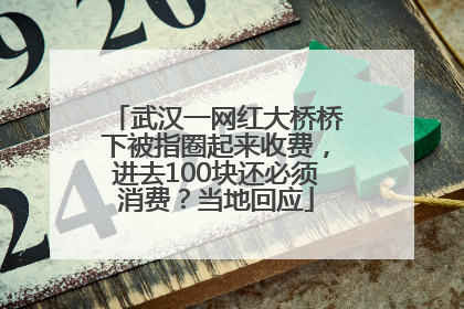 武汉一网红大桥桥下被指圈起来收费，进去100块还必须消费？当地回应