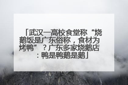 武汉一高校食堂称“烧鹅饭是广东俗称，食材为烤鸭”？广东多家烧鹅店：鸭是鸭鹅是鹅