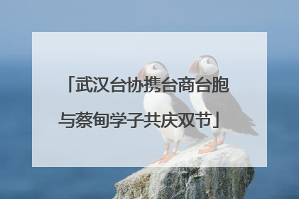 武汉台协携台商台胞与蔡甸学子共庆双节