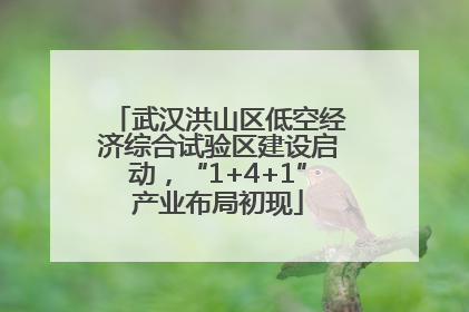 武汉洪山区低空经济综合试验区建设启动，“1+4+1”产业布局初现