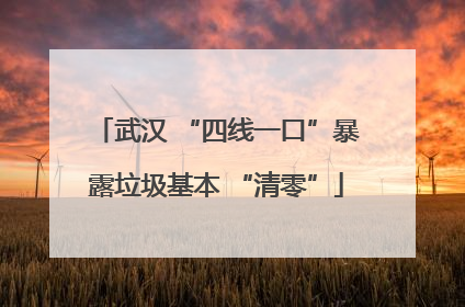 武汉 “四线一口”暴露垃圾基本 “清零”