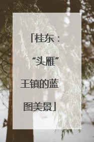 桂东：“头雁”王镇的蓝图美景