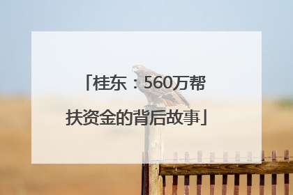 桂东：560万帮扶资金的背后故事