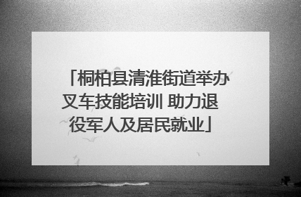 桐柏县清淮街道举办叉车技能培训 助力退役军人及居民就业
