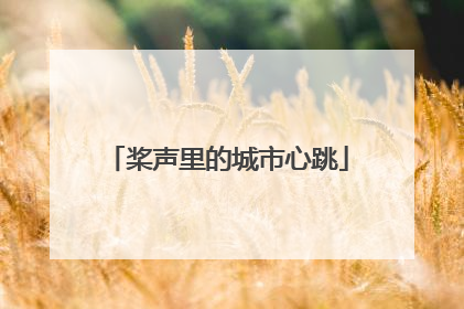 桨声里的城市心跳