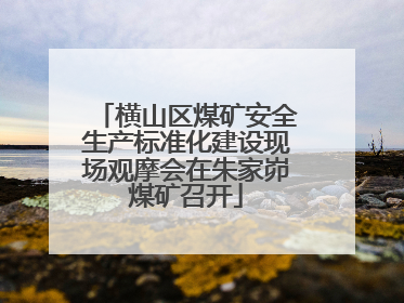 横山区煤矿安全生产标准化建设现场观摩会在朱家峁煤矿召开