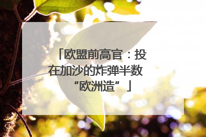 欧盟前高官：投在加沙的炸弹半数“欧洲造”