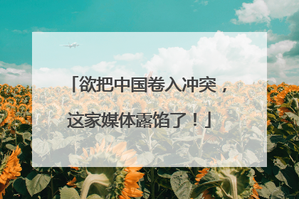 欲把中国卷入冲突，这家媒体露馅了！
