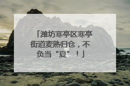 潍坊寒亭区寒亭街道麦熟归仓，不负当“夏”！