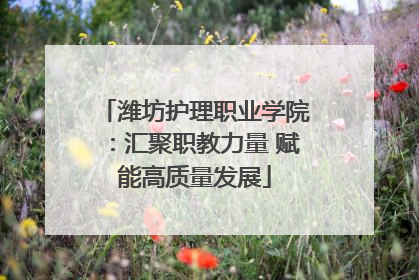 潍坊护理职业学院：汇聚职教力量 赋能高质量发展