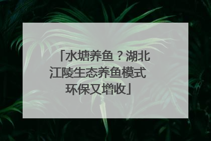 水塘养鱼？湖北江陵生态养鱼模式环保又增收