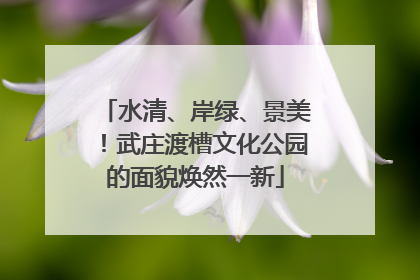 水清、岸绿、景美！武庄渡槽文化公园的面貌焕然一新