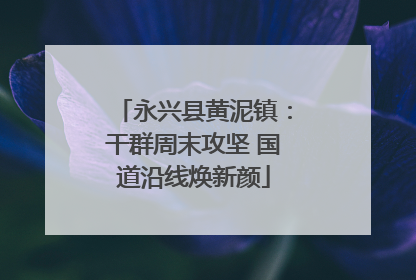 永兴县黄泥镇：干群周末攻坚 国道沿线焕新颜