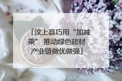 汶上县巧用“加减乘” 推动绿色建材产业链做优做强