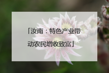 汝南：特色产业带动农民增收致富