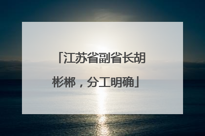 江苏省副省长胡彬郴，分工明确