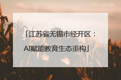 江苏省无锡市经开区：AI赋能教育生态重构