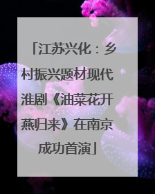 江苏兴化：乡村振兴题材现代淮剧《油菜花开燕归来》在南京成功首演