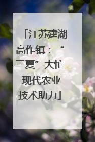 江苏建湖高作镇：“三夏”大忙 现代农业技术助力