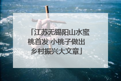 江苏无锡阳山水蜜桃首发 小桃子做出乡村振兴大文章